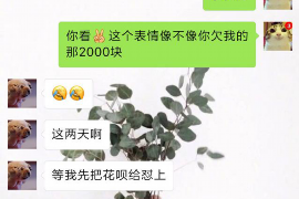 葫芦岛企业清欠服务